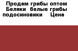 Продам грибы оптом (Беляки, белые грибы, подосиновики) › Цена ­ 150-250 - Ульяновская обл., Инзенский р-н, Инза г. Другое » Продам   . Ульяновская обл.